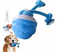 Power Tail 2.0,2025 New Interactive Dog Toy,Dog Ball with Motion Activated,Moving Smart Squeaky Automatic USB Rechargeable,Smart Jumping Ball for Dogs for Daily Training (1 Pcs)