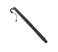 Power Tailgate Struts Electric Tailgate Gas Struts For Q2 2016-2021 Power Hatch Lift Support Shock Opener 81A827851 81A827851A 81A827851B(Left)