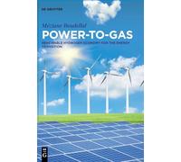 Power-to-Gas: Renewable Hydrogen Economy for the Energy Transition