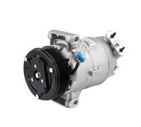 PowerEdge PECP0041 Air Conditioning Compressor