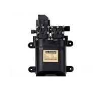 Powerful Dual Water Pump 12V 120W High Pressure Self-Priming Diaphragm Water Pump with Lawn Automatic Pressure Switch for DIY Use