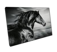 Powerful Muscular Spanish Black Stallion Horse Galloping Dramatic Black and White Wall Art Print On Canvas Picture For Home Office Decor 45x30cm (18x12In)