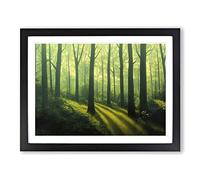 Powerful Summer Forest Framed Wall Art Print A2 Black