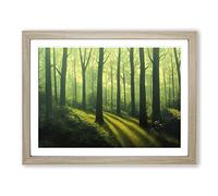 Powerful Summer Forest Framed Wall Art Print A2 Oak
