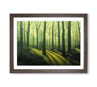 Powerful Summer Forest Framed Wall Art Print A2 Walnut