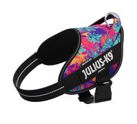 Julius-K9 Power&More Dog Harness with Patches, Size: M, Vibe