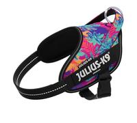 Julius-K9 Power&More Dog Harness with Patches, Size: S, Vibe