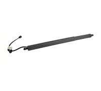 Powerlift Tailgate Struts For Hyundai For Palisade 2020 2021 2022 81831-S8100/ 81841S8100 Rear Left&Right Power Liftgates Lift Support(Right)