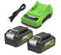 Powilling 2 Packs 6.5Ah for Greenworks 24V Battery and Charger, 29842 29852 Battery Replacement for Greenworks 24V Cordless Tools 20352 22232 25083029(Not for LawnMaster)