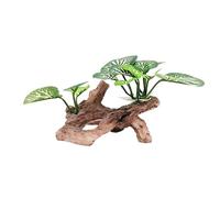 Poxela Aquarium Decor Fish Tank Accessories Betta Fish African Dwarf Frog Tank Accessories