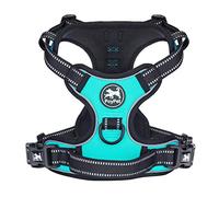 PoyPet No Pull Dog Harness, Reflective Vest Harness with 2 Leash Attachments and Easy Control Handle for Small Medium Large Dog(Mint Blue,L)
