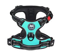 PoyPet No Pull Dog Harness with Neck Release Buckle, Reflective No-Choke Harness with 2 Leash Clip, Adjustable Soft Padded Pet Vest with Easy Control Handle for Large Dogs (Mint Blue,L)