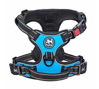 PoyPet No Pull Dog Harness with Neck Release Buckle, Reflective No-Choke Harness with 2 Leash Clip, Adjustable Soft Padded Pet Vest with Easy Control Handle for Large Dogs (Blue,L)