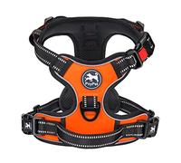 PoyPet No Pull Dog Harness with Neck Release Buckle, Reflective No-Choke Harness with 2 Leash Clip, Adjustable Soft Padded Pet Vest with Easy Control Handle for Large Dogs (Orange,XL)