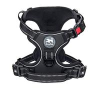 PoyPet No Pull Dog Harness with Neck Release Buckle, Reflective No-Choke Harness with 2 Leash Clip, Adjustable Soft Padded Pet Vest with Easy Control Handle for Small Dogs (Black,XS)