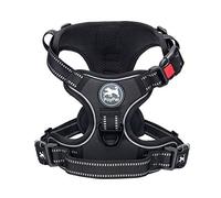 PoyPet No Pull Dog Harness with Neck Release Buckle, Reflective No-Choke Harness with 2 Leash Clip, Adjustable Soft Padded Pet Vest with Easy Control Handle for Small Dogs (Black,S)