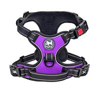 PoyPet No Pull Dog Harness with Neck Release Buckle, Reflective No-Choke Harness with 2 Leash Clip, Adjustable Soft Padded Pet Vest with Easy Control Handle for Small Dogs (Purple,S)