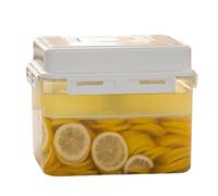 PP Classic Storage Jar with Handle and Lid, 4/5 L Probiotic Fermentation Container, 23.5 x 16.5 x 15.5/19.5 cm, 100% Air- and Waterproof, Freezer and Fridge Organiser, Dishwasher