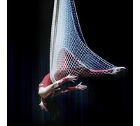 PP-Vic Aerial Yoga Net, Bar Dance Performance, High-Difficulty Aerial Swing, Skill Enhancement Suitable for Yoga Inversions And Strength Training,Blue