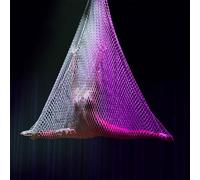 PP-Vic Aerial Yoga Net, Bar Dance Performance, High-Difficulty Aerial Swing, Skill Enhancement Suitable for Yoga Inversions And Strength Training,Purple