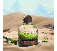 PP-Vic Ecological Fish Tank with Wooden Base, Retro Tabletop Aquaponics Aquarium, Office Small Betta Fish Tank, Glass High-Transparency Fish Tanks, Ultra Clear Glass Fish Bowl,S
