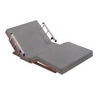 PP-Vic Electric Adjustable Bed Frame, 0°-80° Automatic Lifting Mattress, Sit-Up Chair with Remote Control, Nursing Bed Suitable for Elderly, Home Care and Hospital Use