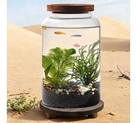 PP-Vic Elegant Glass Aquarium with A Wooden Base, Transparent Glass Fish Tank, Miniature Landscape Ecological Bottle, Glass Goldfish Tank Aquarium, Suitable for Hydroponic Cultivation,L