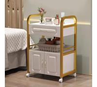 PP-Vic Hairdresser Cart with Cabinet, Eyelash Artist Roller Storage Cart, Multifunctional Beauty Salon Cart Suitable for Beauty Salons, Barber Shops, Nail Salons,Gold 01
