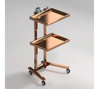 PP-Vic Multipurpose 2-Tier Tray Wheeled Cart - Multifunctional Metal Rolling Cart, Foldable Mobile Storage Tray Cart, Stainless Steel Trolley Suitable for Beauty Salon Dental Tools, Salon,Rose