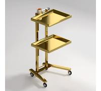PP-Vic Multipurpose 2-Tier Tray Wheeled Cart - Multifunctional Metal Rolling Cart, Foldable Mobile Storage Tray Cart, Stainless Steel Trolley Suitable for Beauty Salon Dental Tools, Salon,Gold