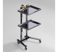 PP-Vic Multipurpose 2-Tier Tray Wheeled Cart - Multifunctional Metal Rolling Cart, Foldable Mobile Storage Tray Cart, Stainless Steel Trolley Suitable for Beauty Salon Dental Tools, Salon,Black