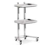 PP-Vic Rolling Tool Cart with Double Storage Tray, Stainless Steel Foldable Multifunctional Instrument Tray, Storage Tray for Instrument Tray Rack for Salon Beauty Shop, Beauty Tattoo,Silver