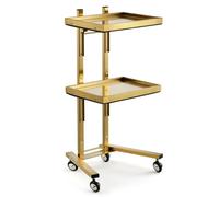 PP-Vic Rolling Tool Cart with Double Storage Tray, Stainless Steel Foldable Multifunctional Instrument Tray, Storage Tray for Instrument Tray Rack for Salon Beauty Shop, Beauty Tattoo,Gold