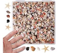 PPCLION 50pcs Tiny Strarfish&2000Pcs Tiny Mini Small Clam Sea Shells for Crafting Spiral for Crafts Charms Home Decorations Candle Decor DIY Fish Tank and Beach Vase Filler