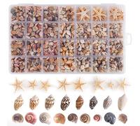 PPCLION 60pcs Tiny Starfish 1800 Pcs Tiny Mini Small Sea Shells for Crafting Spiral Conch Shells for Crafts Charms for Home Decorations Candle Decor DIY Fish Tank and Beach Vase Filler