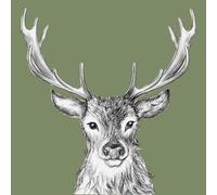 PPD 20 Napkins Animals Paul the Stag Green Table Decoration Paper Napkins with Motif Also for Decoupage and Decoupage 33 x 33 cm