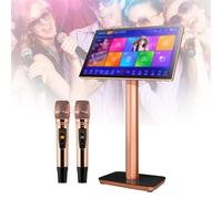 PPLDABNK 22-inch Karaoke Machine with Touch Screen, Wireless Microphone, 4K HD, Built-in DSP Reverb, 27 Languages, Apps And Touch Controls, Family Gatherings for Large Song Library,2TB