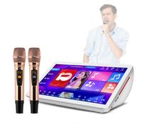 PPLDABNK Portable Karaoke Machine with 19.5" Touch Screen, Wireless Microphones, 4K HD Display, DSP Sound Effects, 1M+ Cloud Songs, 27 Languages, for Home Parties,500G