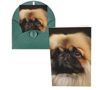 PPTHSNVB Greeting Cards with Envelope Blank Cards Cute Pekingese Funny Thank You Card 4 x 6 in Birthday Card Get Well Blank Note Cards for Wedding Teachers Valentine's Holiday Party
