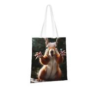 PPTHSNVB Squirrel Funny Animal Canvas Tote Bag for Women Reusable Shopping Grocery Bags with Handles Cloth bags