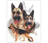 PPTRTYQ Paint by Numbers for Adults Children Three German Shepherd dogs Diy Painting for Adults Beginner Level with Brushes and Acrylic Pigment 16x20 Inch home Decorations Gift