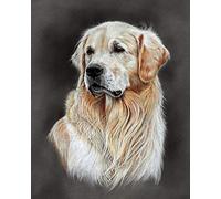 PPTRTYQ Paint by Numbers Kit for Adults & Children, Golden Retriever Dog Animal Portrait, Diy Painting with Brushes & Acrylic Pigment, 16x20 Inch, Home Decorations Gift