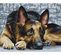 PPTRTYQ Painting By Numbers For Kids Adults Diy Pre-Printed Canvas, German shepherd animal dog 16×20 Inch Hand Painted Oil Painting Abstract Art Home Decoration for family friend Toy gift