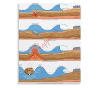 PQYSMVVG Tsunami Causes and Formation Educational Poster Oceanography Plate Tectonics Science Chart for Classroom Decor(Framed,12x18inch(30x45cm))