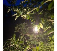 PR Home rechargeable LED outdoor light 2406003, black, dimmable