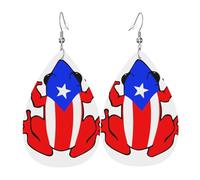 Pr State Flag Frog Dangle Earrings Fashion Earrings Lightweight Earring For Beach Mother'S Day Women