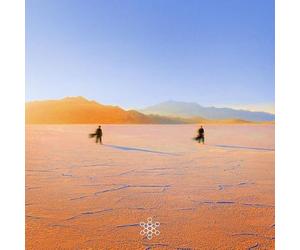 PRAANA - INSIGHT OUT (YELLOW AND ORANGE MARBLE COLOURED VINYL [VINYL]