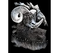 Pracht Creatives Hobby 4674-20041 Scratch Painting kit, Sheepbock