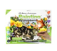 Pracht Creatives Hobby Royal & Langnickel - Paint by Numbers Playing Cats Includes Paints and Brushes for Adults and Children from 8 Years