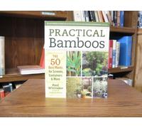 Practical Bamboos the 50 Best Plants for Screens, Containers & More